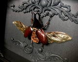 Rhino Beetle